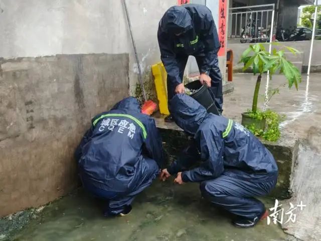 通訊員 林劍鋒 供圖