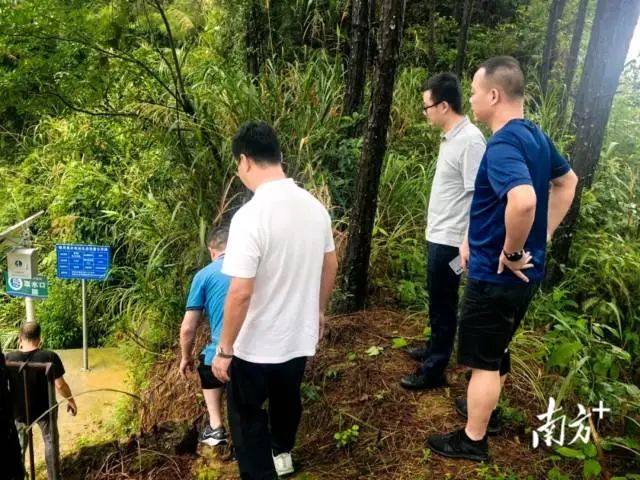 通訊員 林劍鋒 供圖